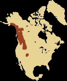 world distribution of mountain goats